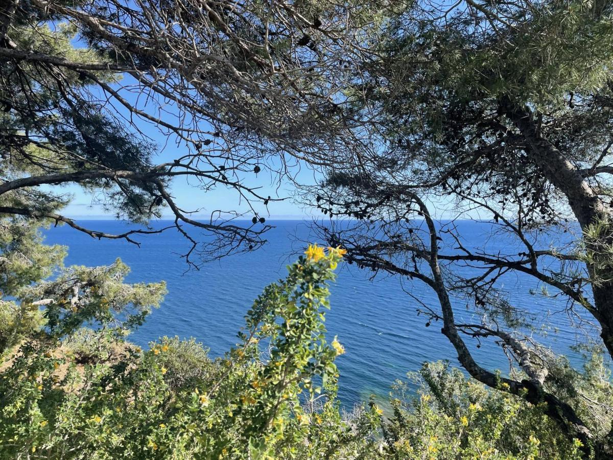 Appartement Mignon Calme Douillet Ascenseur Clim Etage Eleve Proche Parking Et Toutes Commodites Au Coeur Du Toulon Historique Dış mekan fotoğraf