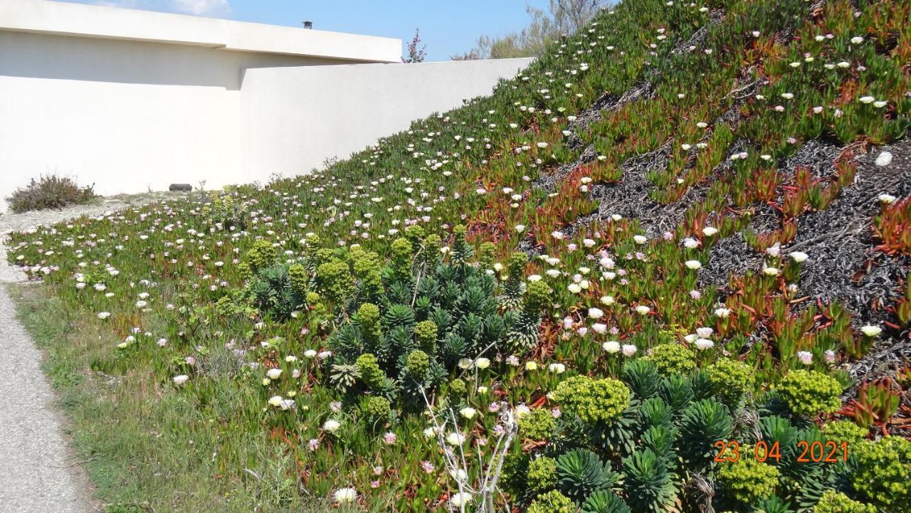 Appartement Mignon Calme Douillet Ascenseur Clim Etage Eleve Proche Parking Et Toutes Commodites Au Coeur Du Toulon Historique Dış mekan fotoğraf